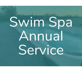 Swim Spa Annual Service